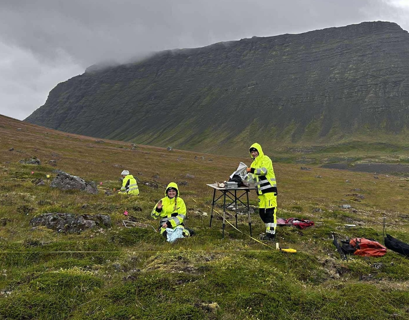 Sumarið er fyrir gróður- og jarðvegsmælingar