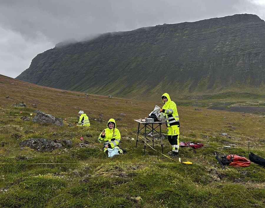 Sumarið er fyrir gróður- og jarðvegsmælingar