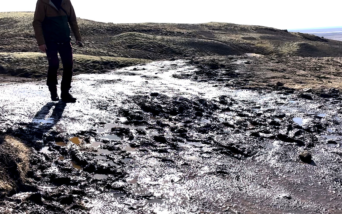 Förum varlega í votu landinu