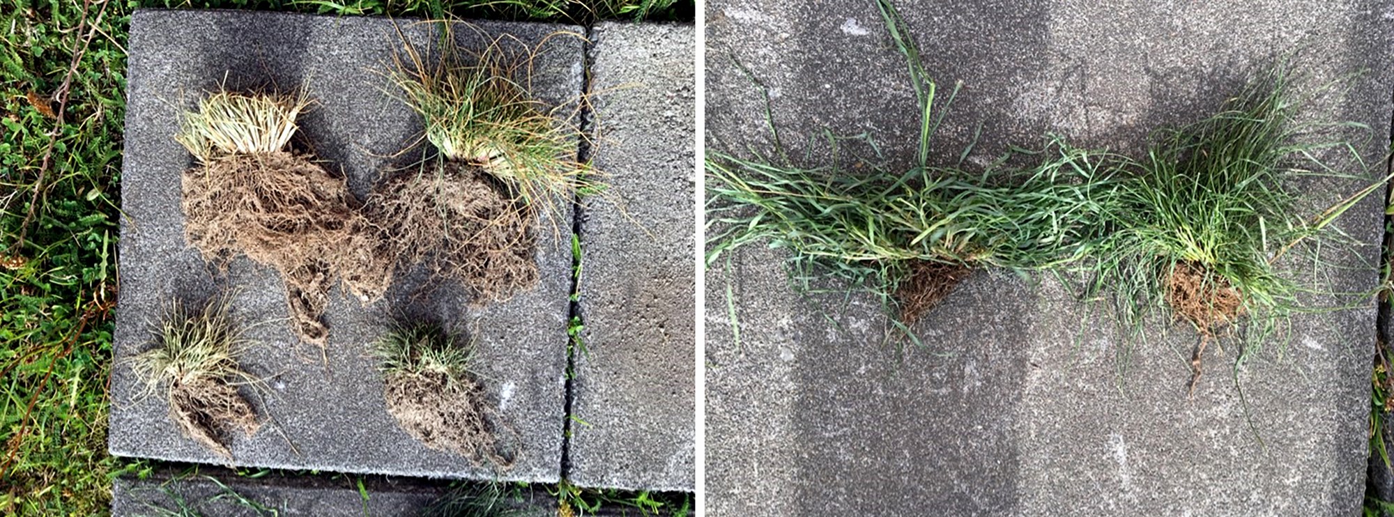 Athugasemdir við drög að reglugerð