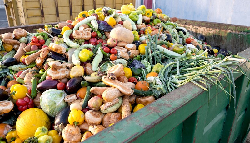 Málþing um matvæli á heimsvísu