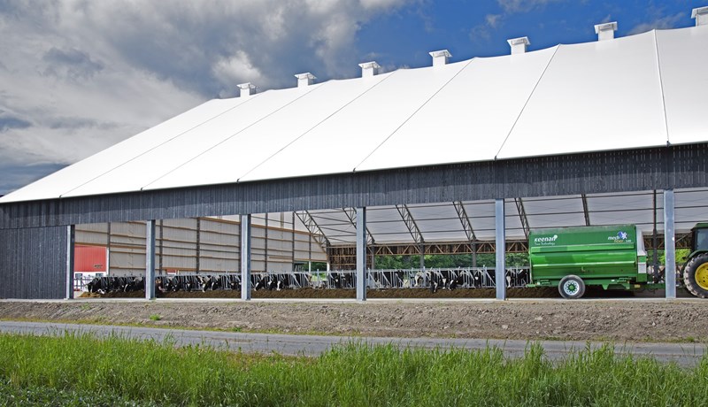 Tjaldfjós með trjákurli