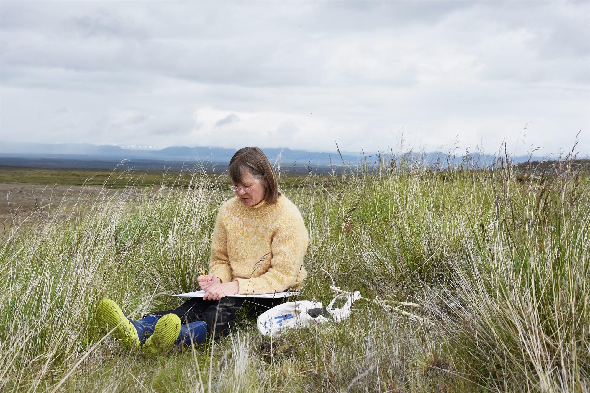 Beittar uppgræðslur á hálendi Íslands, reynsla bænda, aðferðir og árangur