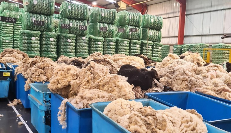 Bændaheimsóknir í Englandi nóvember 2022 – fyrri hluti