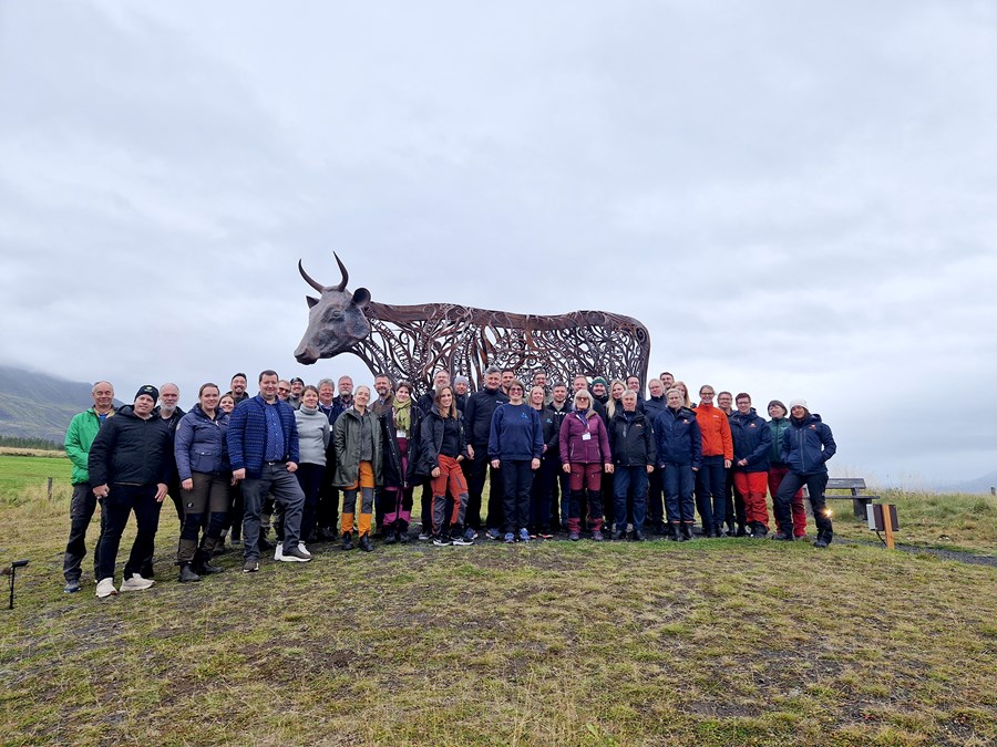 Norrænir byggingarráðunautar hjá kúnni Eddu í Eyjafjarðarsveit.
