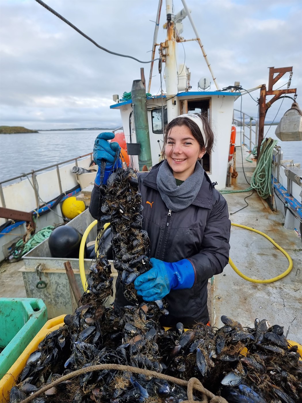 Saga væntinga og vonbrigða