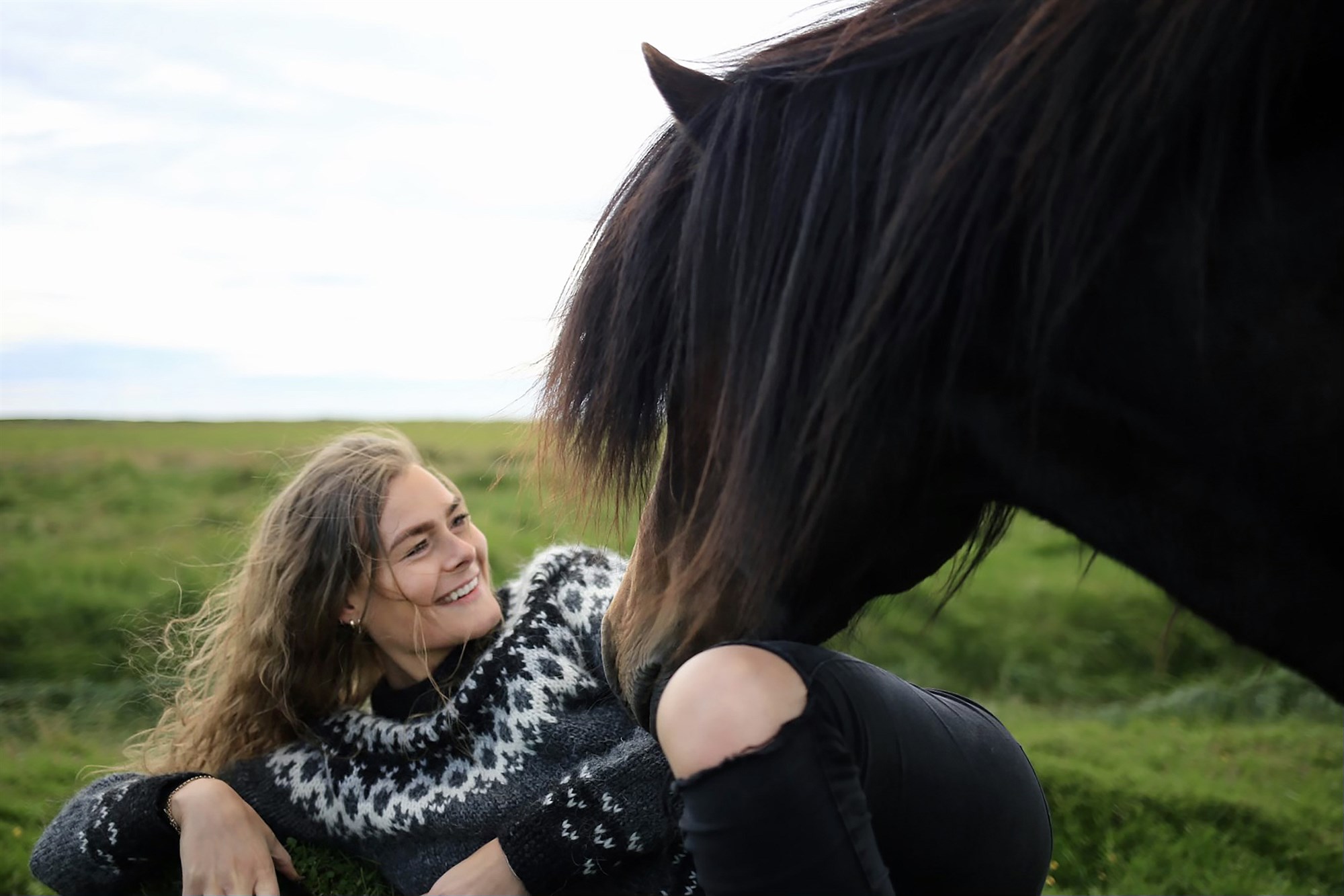 Signe Arendorf Bache gerir magnaðar blýantsteikningar af íslenskum hestum