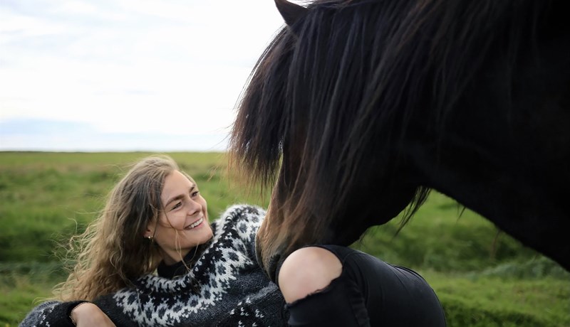 Signe Arendorf Bache gerir magnaðar blýantsteikningar af íslenskum hestum