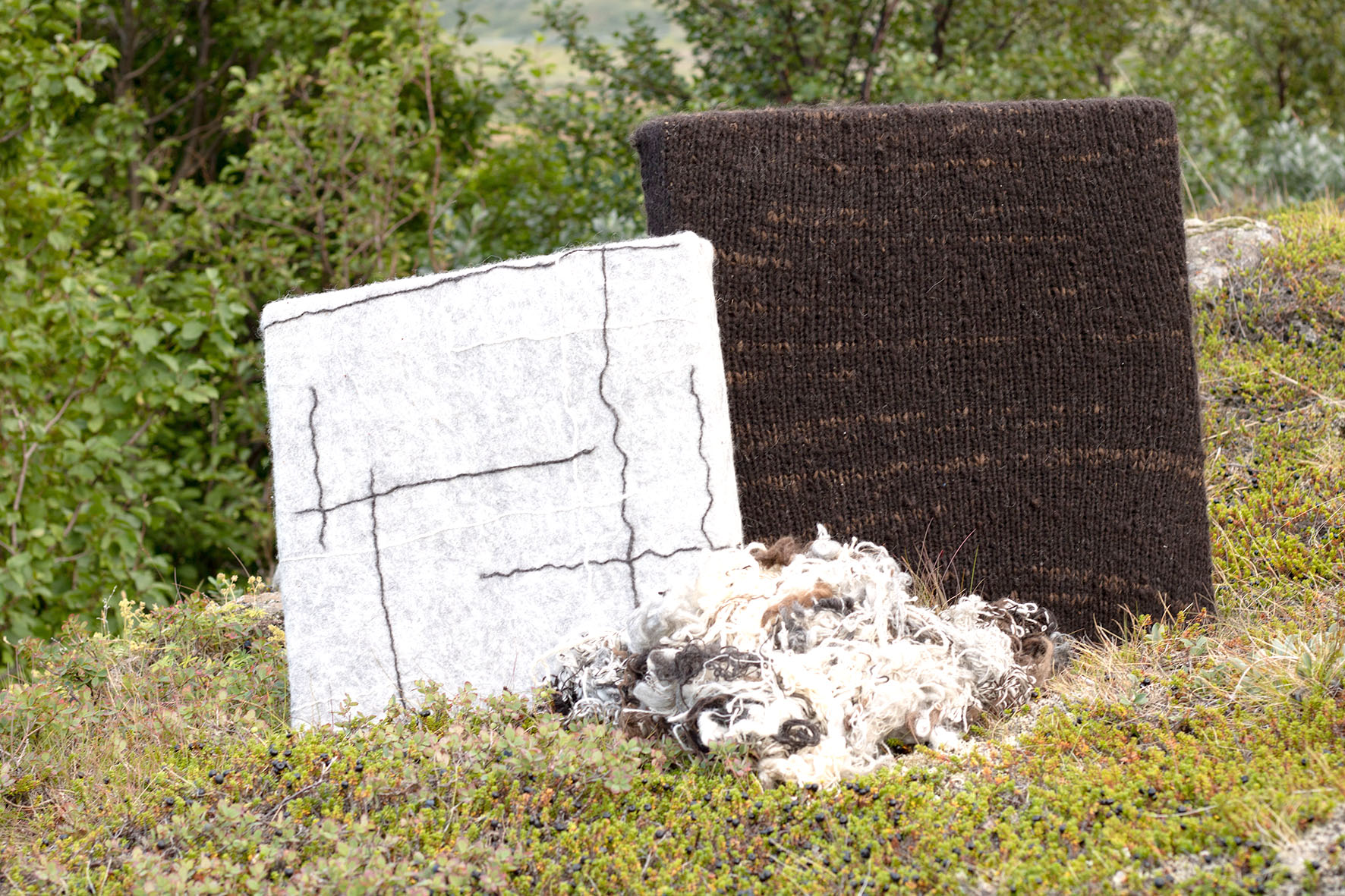 Hljóðdempandi lausnir úr afgangsull og íslenskum við