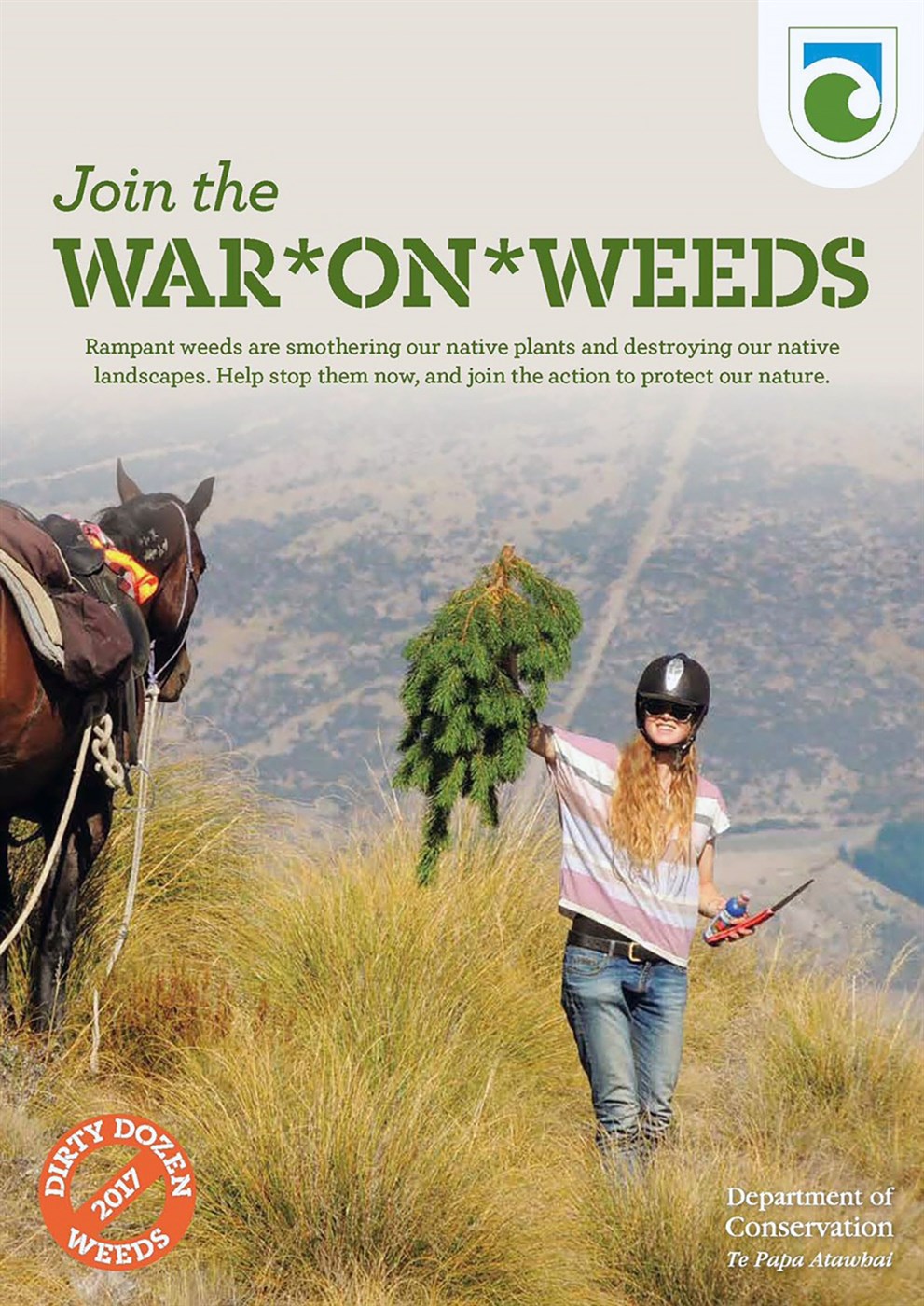 Ágeng barrtré: Verðmæti eða vandamál?