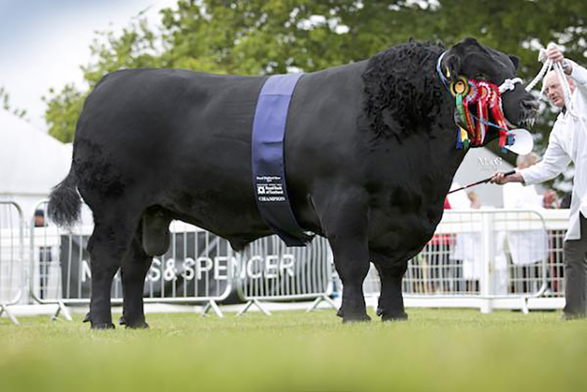 Royal Highland Show – einstök landbúnaðarsýning