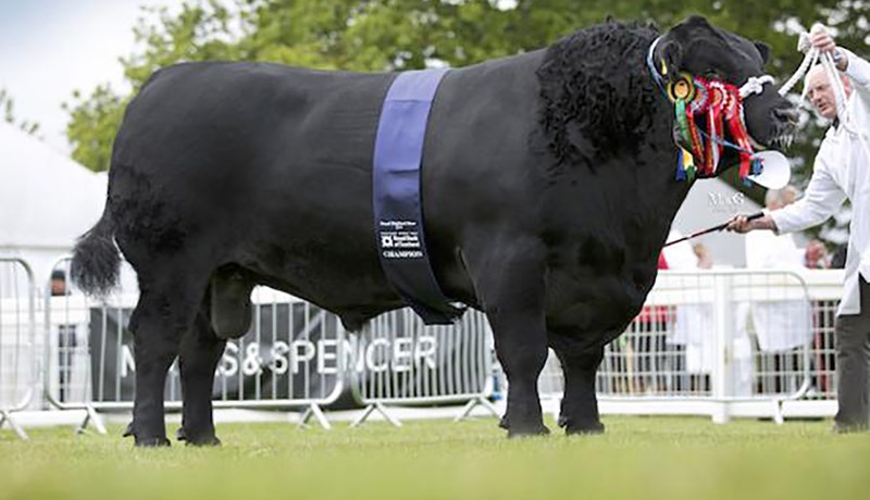 Royal Highland Show – einstök landbúnaðarsýning