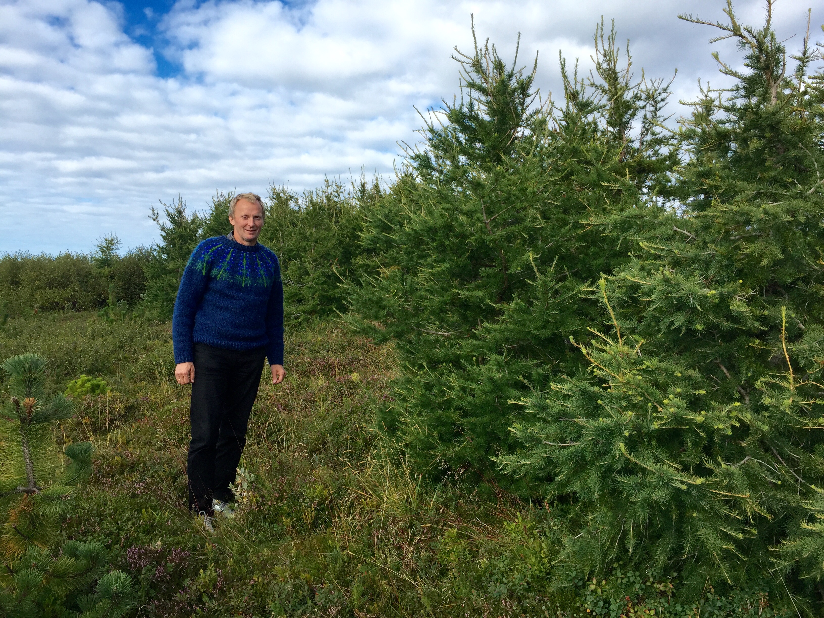 Sauðfjárbændur, samningarnir og skuldin við landið