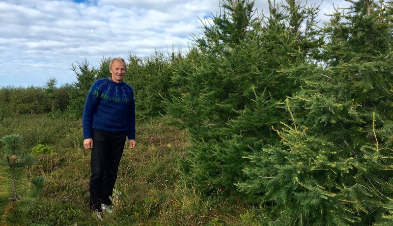 Sauðfjárbændur, samningarnir og skuldin við landið