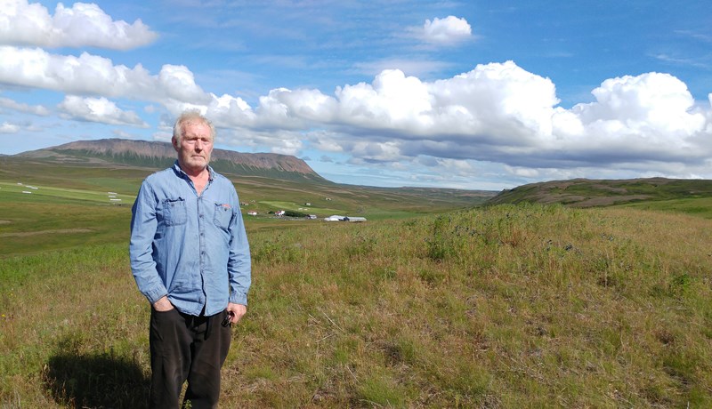 Gróður í Norðurþingi