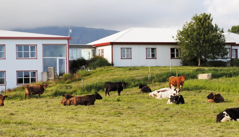 Ferðaþjónustubændur blómstra við rætur Vatnajökuls