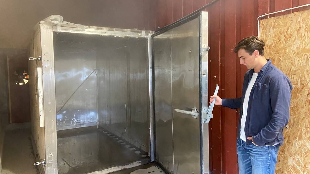 Plöntugufubað í berjarækt