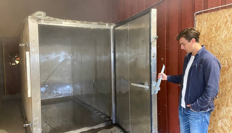 Plöntugufubað í berjarækt