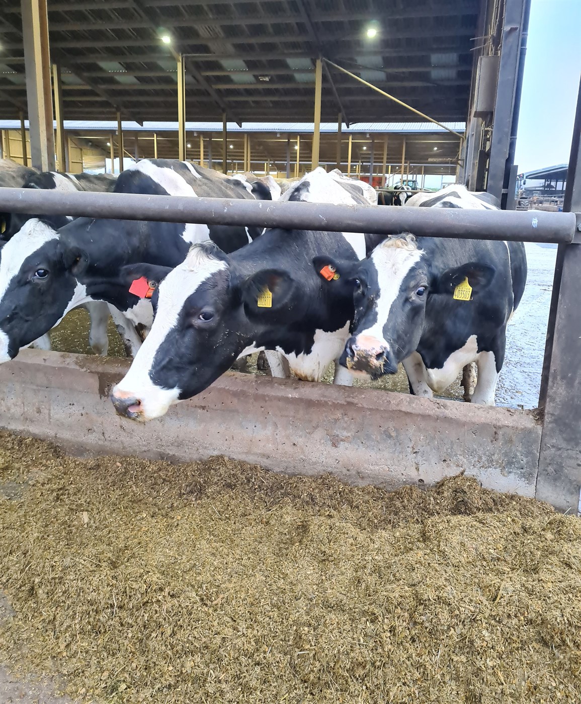 Bændaheimsóknir í Englandi nóvember 2022 – seinni hluti