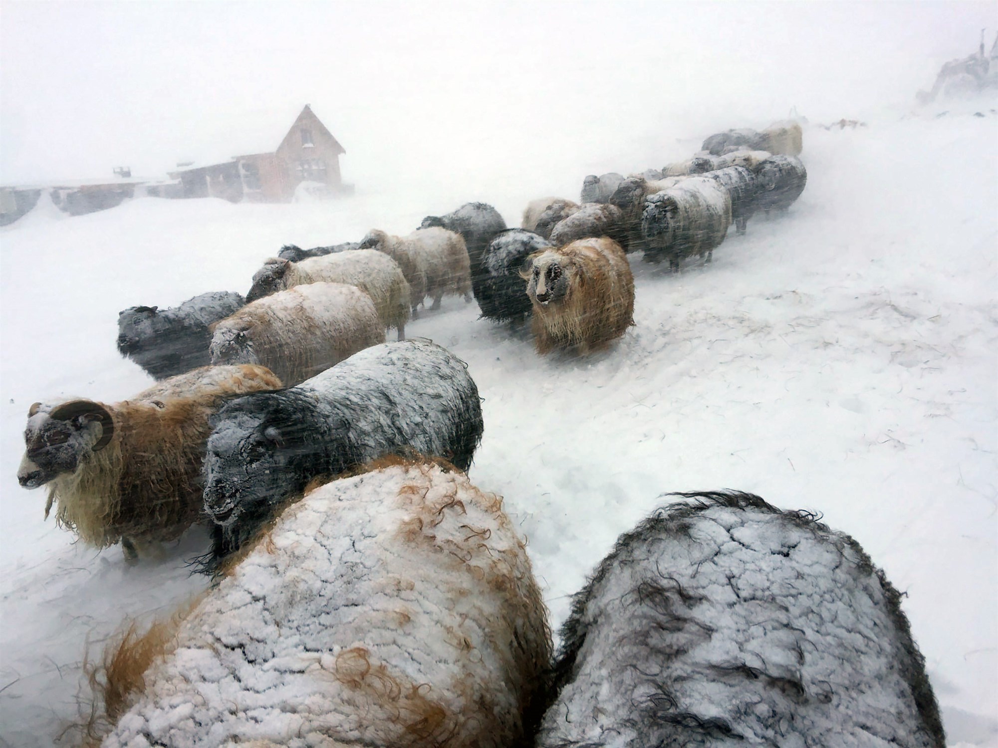 Vetrarbeit og válynd veður