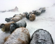 Vetrarbeit og válynd veður