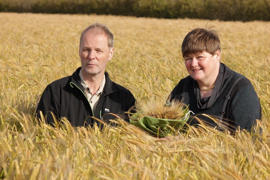 Brúðhjónin sæl og ánægð með sig á kornakrinum í Gunnarsholti þar sem þau hafa ræktað korn frá árinu 2004.