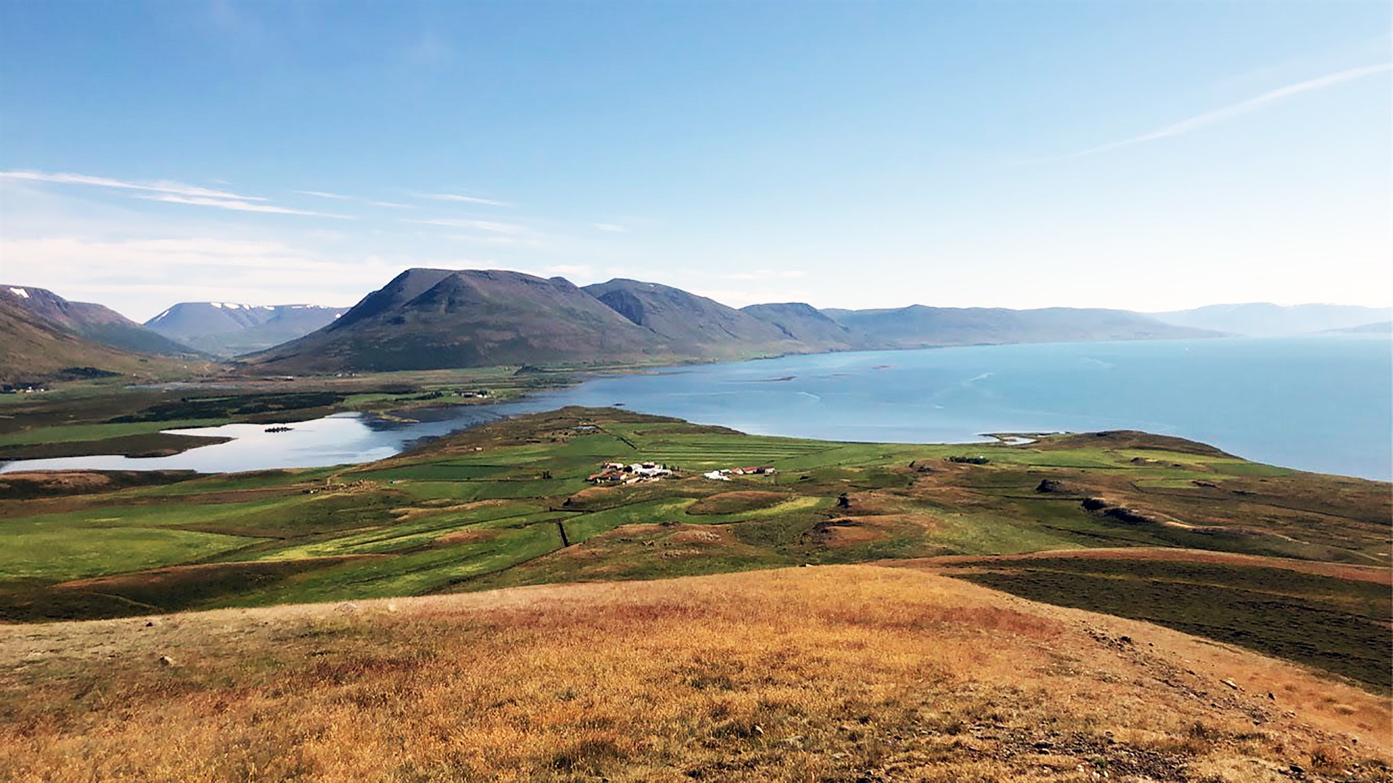 ,,Kæri Jón” – opið bréf til Landgræðslunnar