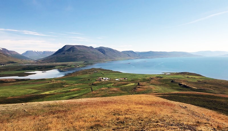 ,,Kæri Jón” – opið bréf til Landgræðslunnar