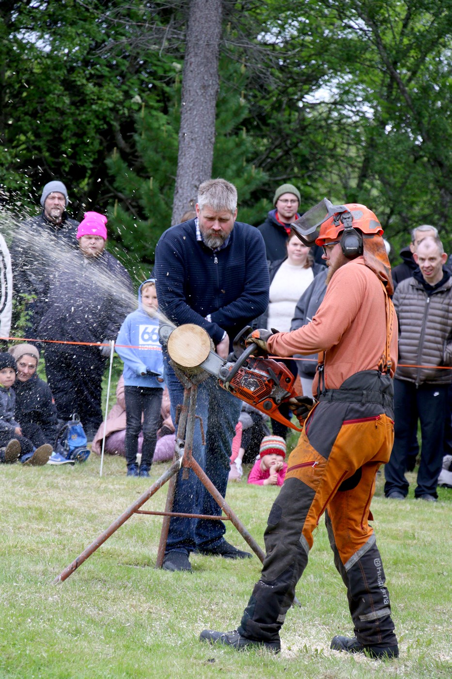 Skógarnir einn af seglum landshultans