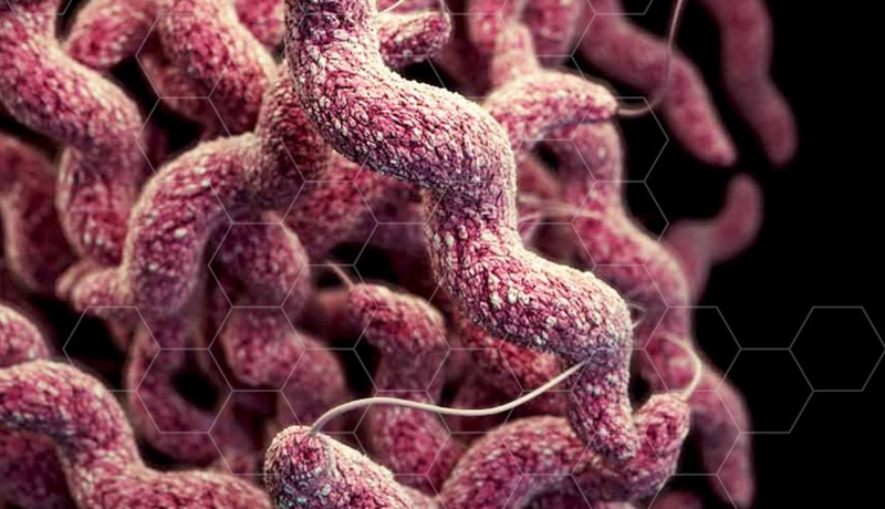 Yfir tvær milljónir manna veikjast alvarlega í Bandaríkjunum vegna sýklalyfjaónæmis