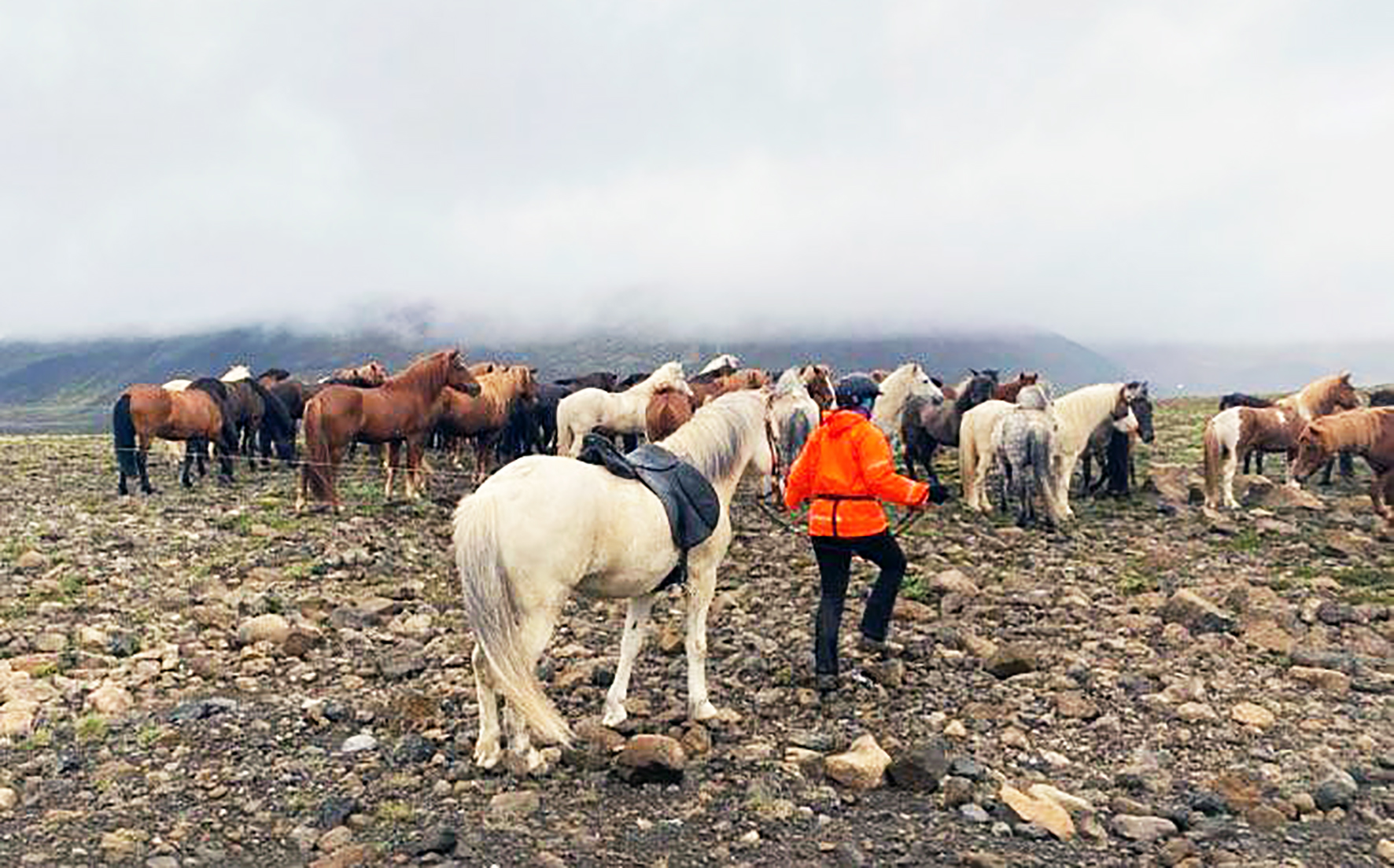 Alltaf má bæta sig í umferðinni