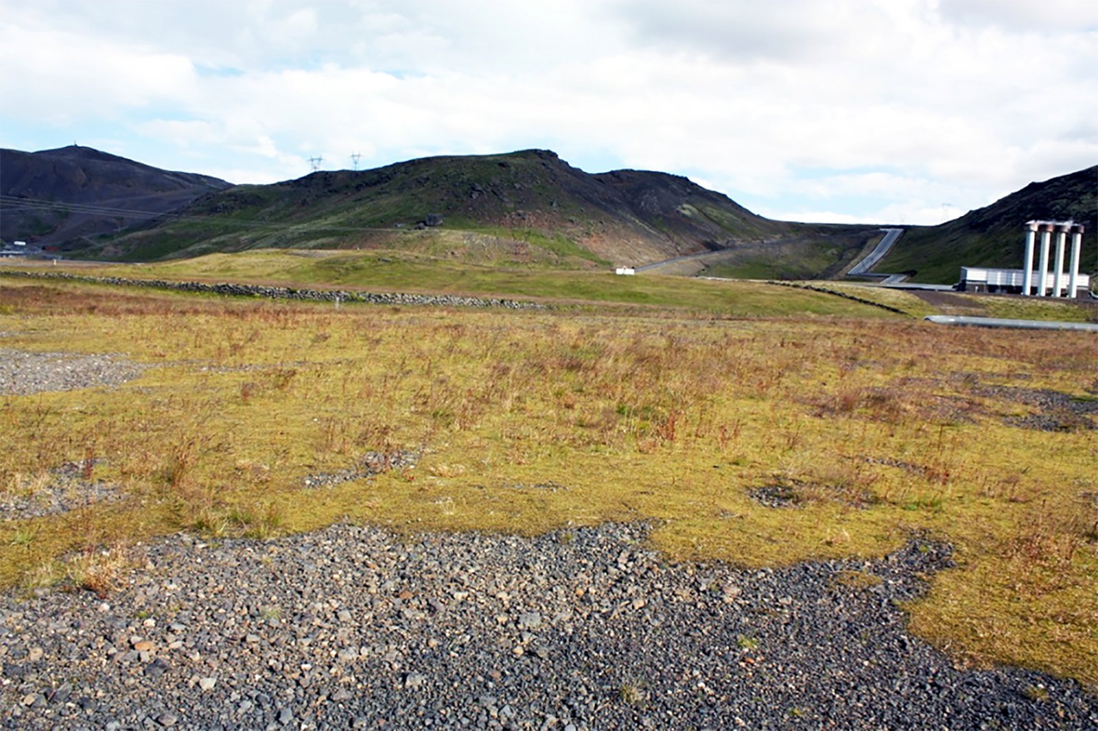 Fræslægja – hvað er það?