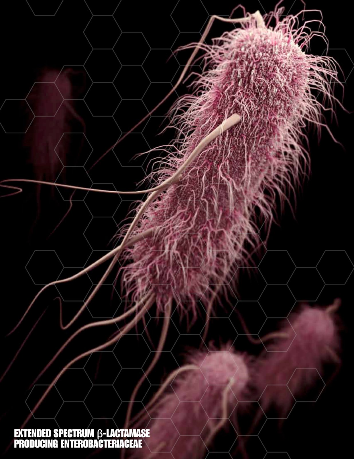 Talið er að um 25 þúsund manns látist árlega innan ríkja ESB vegna sýklalyfjaónæmis