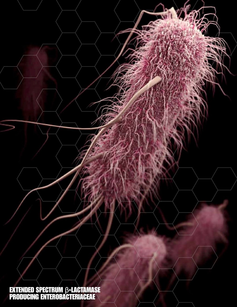 Mynd úr skýrslunni ANTIBIOTIC RESISTANCE THREATS  in the United States.