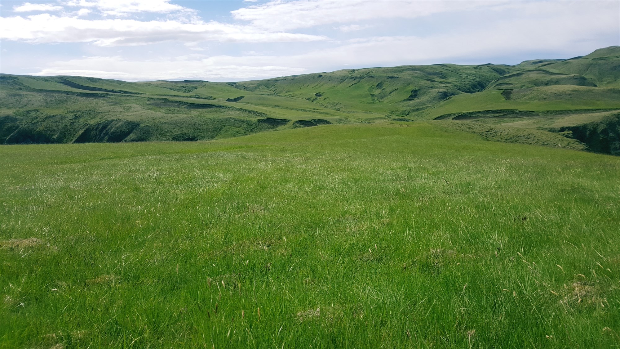 Sjálfbær landnýting