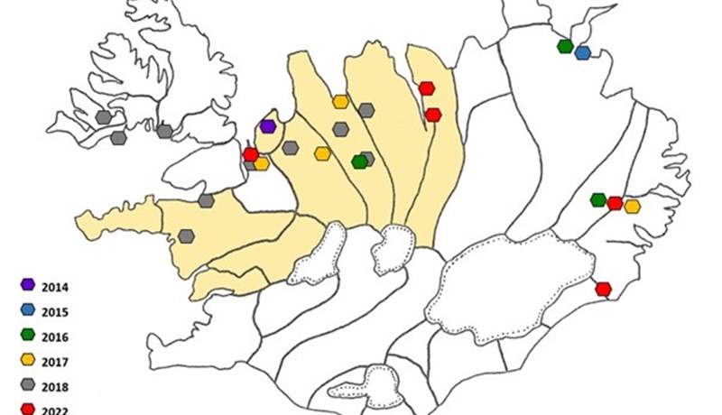 Vöðvasullsbandormurinn finnst á nýjum svæðum 2022