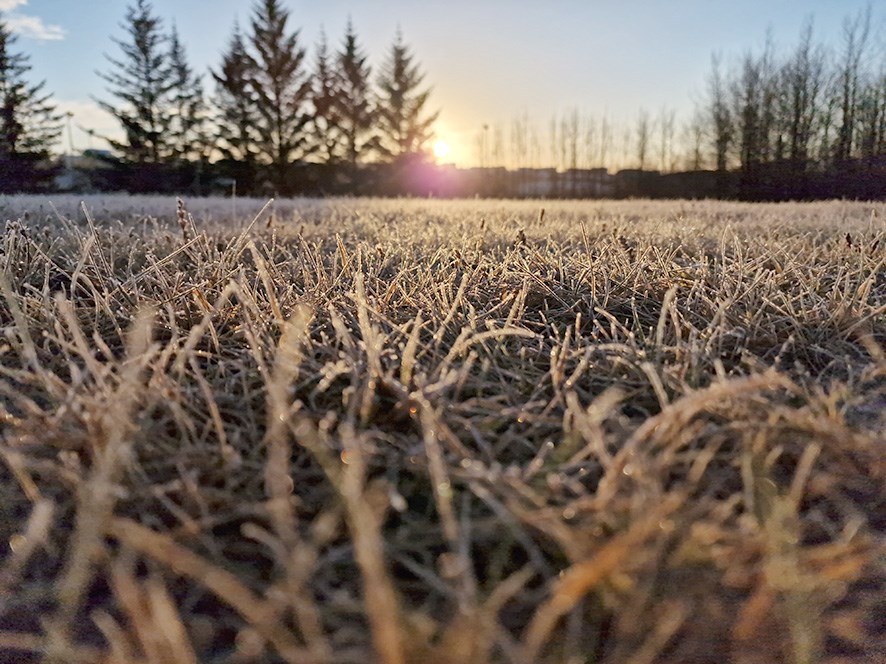 Fagrar froststillur í birtu skerpa sýn okkar á meginmálið.