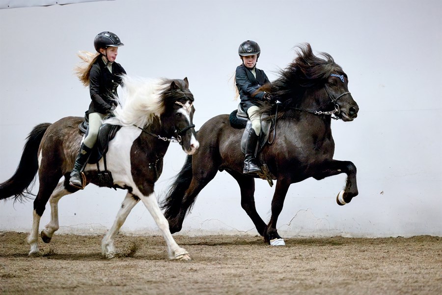 Frænkurnar Una Björt Valgarðsdóttir og Viktoría Huld Hannesdóttir léku listir sínar á gæðingunum Öglu frá Ási 2 og Þin frá Enni.