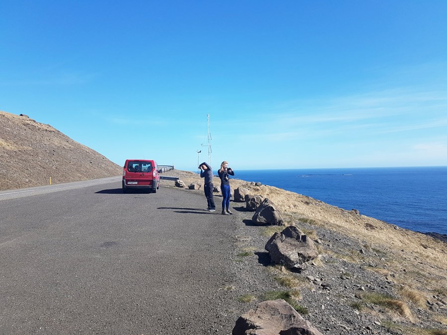 Mest hætta af innflutningi lifandi dýra, húsdýraáburði og ferðamönnum