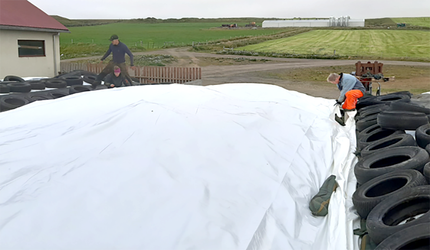 Heyverkun í flatgryfjum