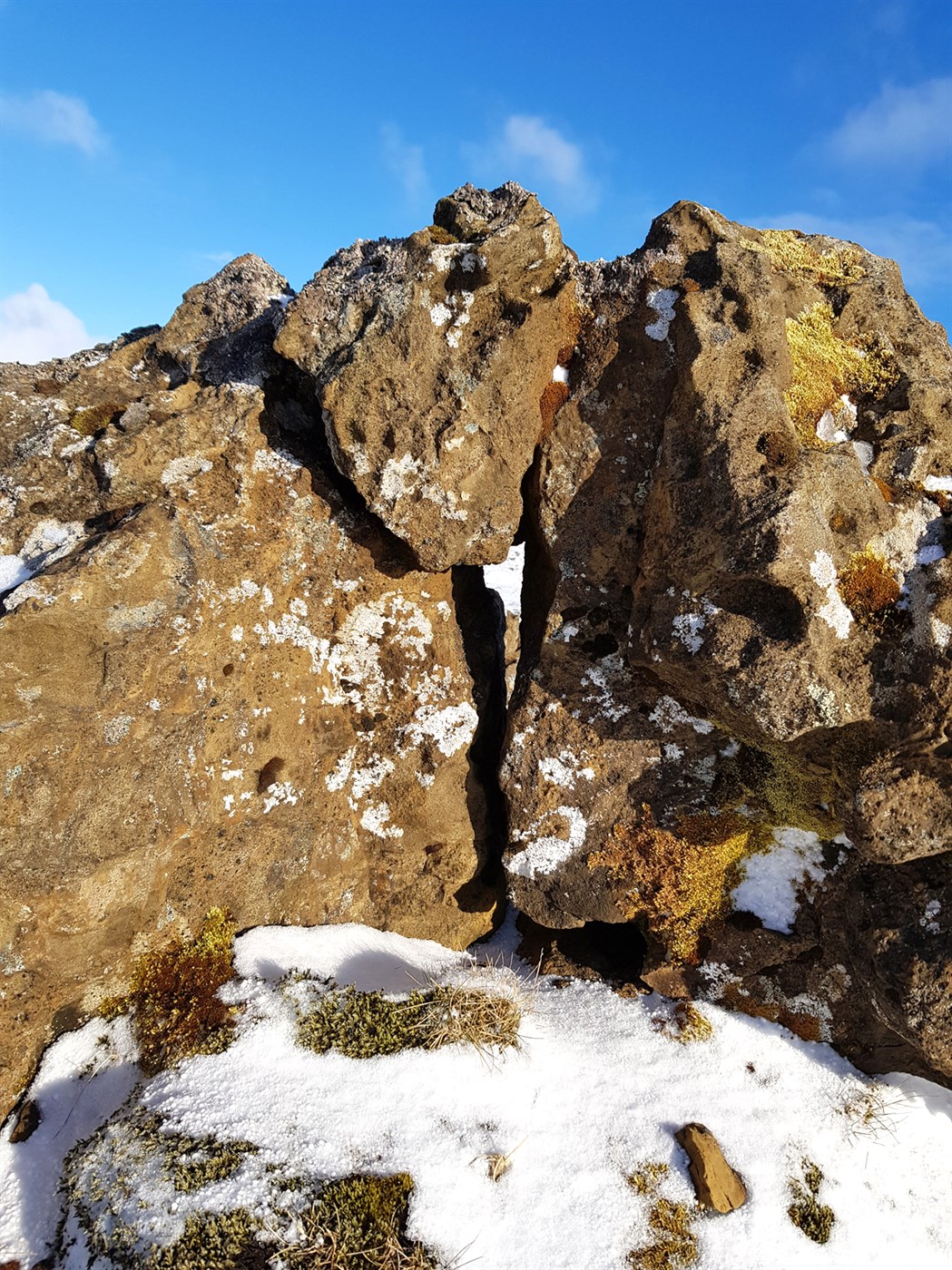 Ég hélt ég yrði ekki eldri