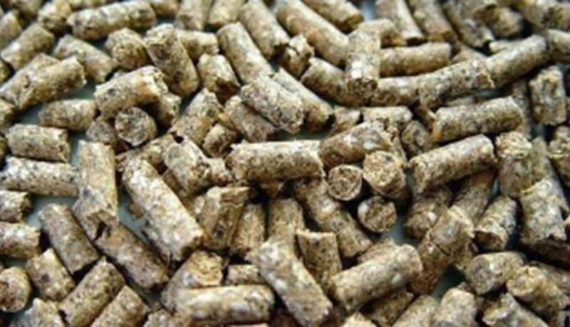 SS og Landstólpi með óbreytt verð á kjarnfóðri frá 2016