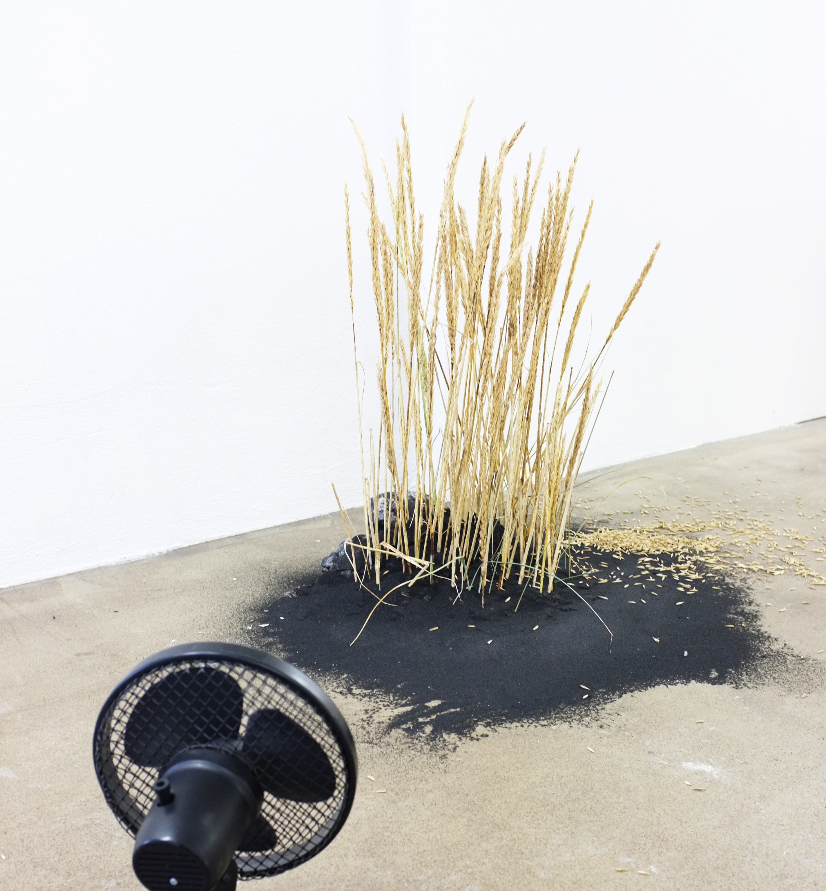 Göngum til liðs við gróðurinn