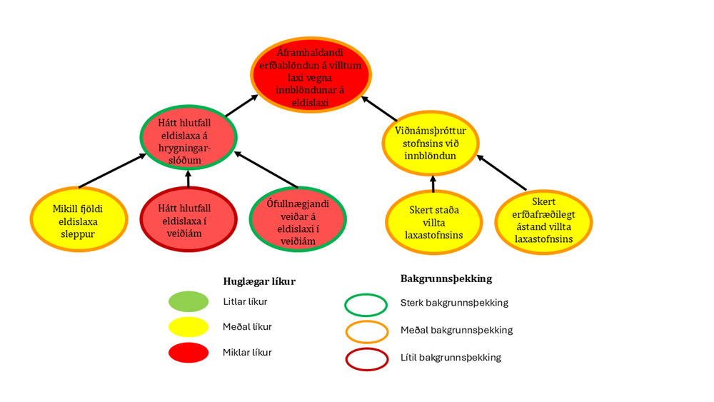 Áhættumat erfðablöndunar – hvað næst?