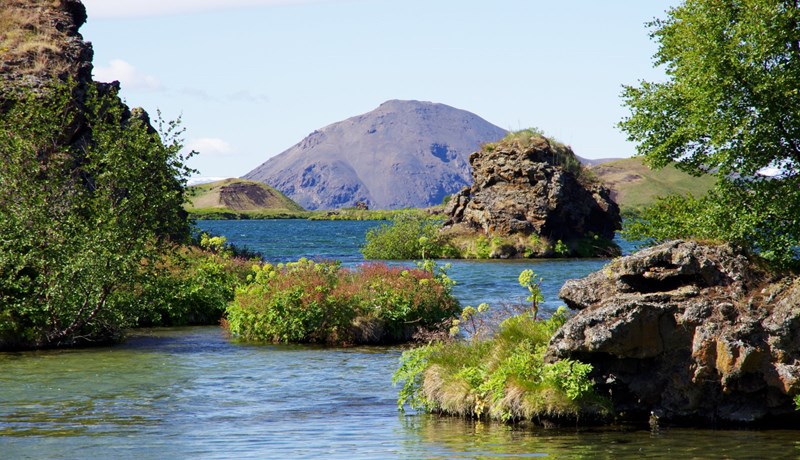 Alvarlegt ástand í lífríki Laxár og Mývatns