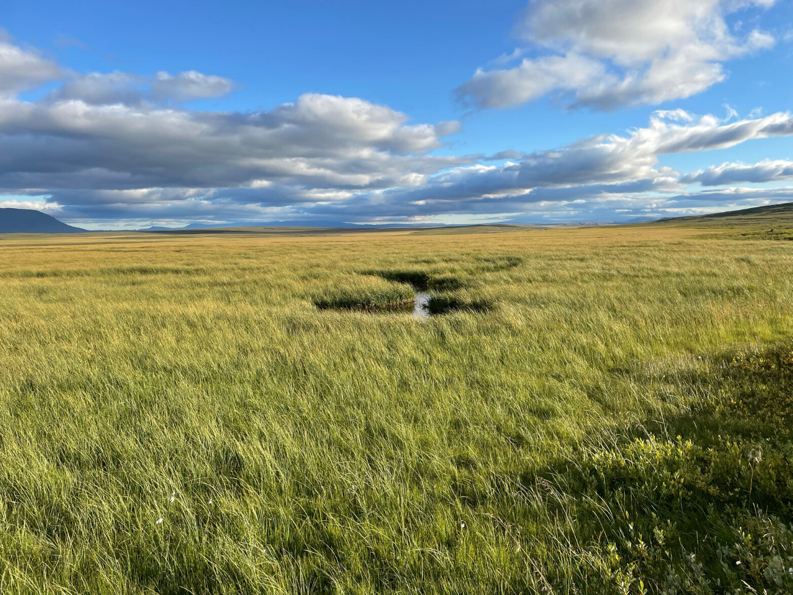 Endurmat á losun gróðurhúsaloft­tegunda frá ræktarlöndum bænda