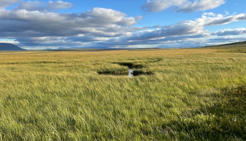 Endurmat á losun gróðurhúsalofttegunda frá ræktarlöndum bænda