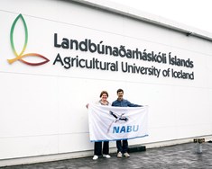 NABU Climate Fund styrkir endurheimt votlendis