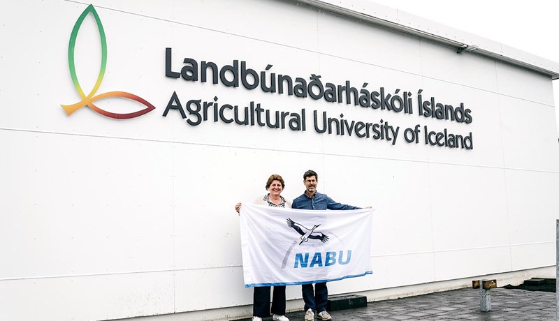 NABU Climate Fund styrkir endurheimt votlendis