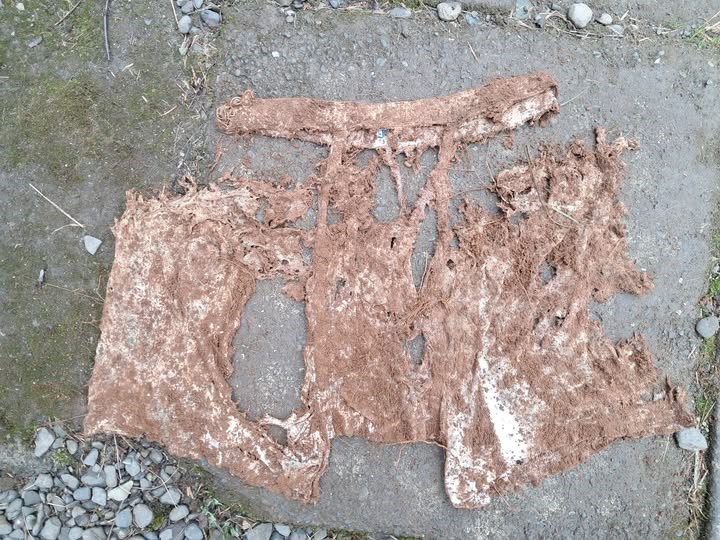 Nærbuxur eftir 13 mánuði í jörðu.